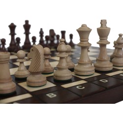 41x41cm Schachspiel Bug